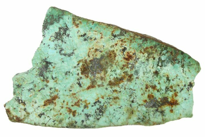 Bright Blue Apatite (Fluorapatite) Slab - Madagascar #338142